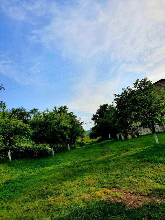 Guest House Ijevan'S Garden 외부 사진