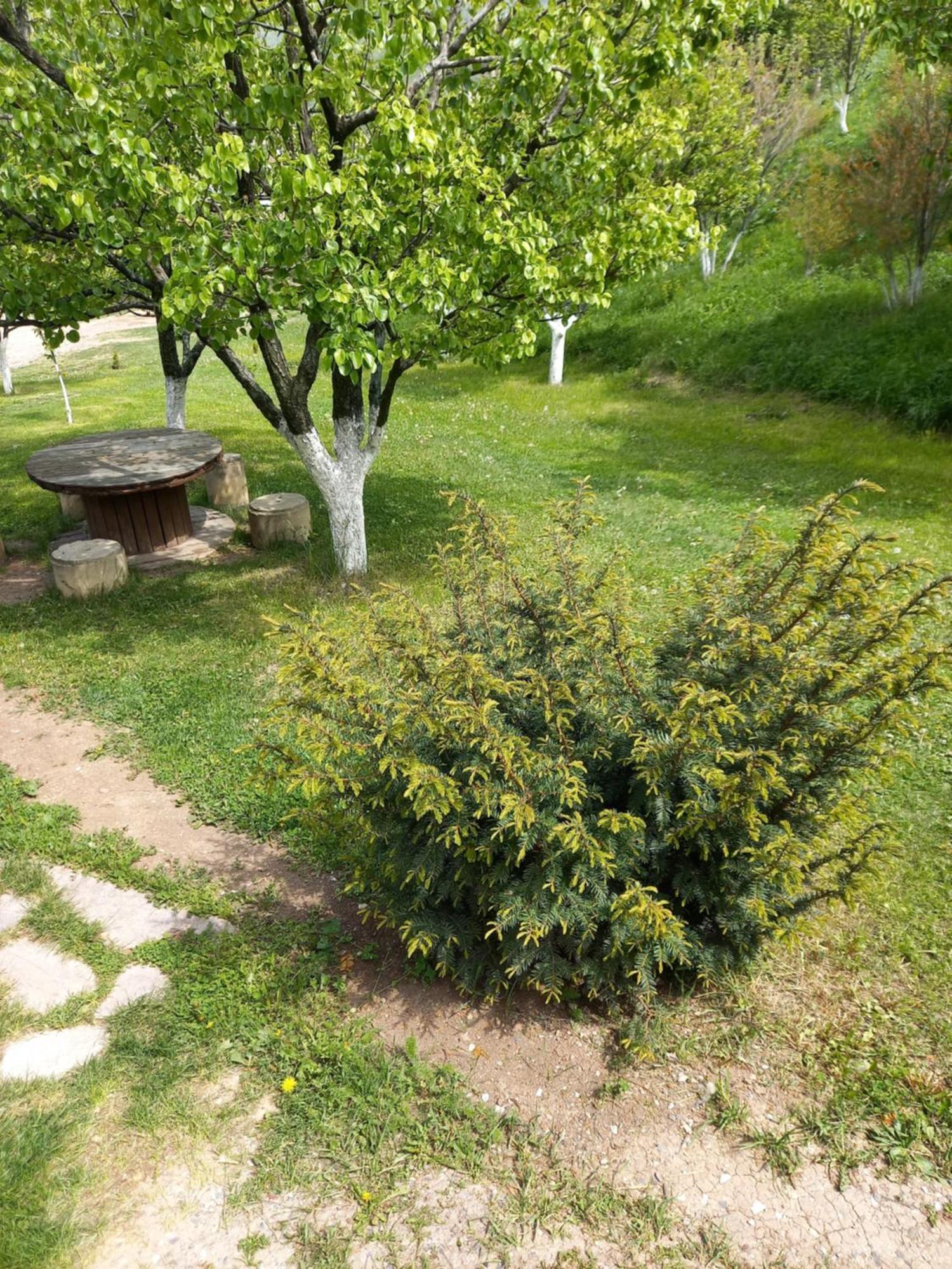 Guest House Ijevan'S Garden 외부 사진